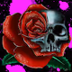 Misfit Crows Skulls