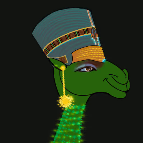 Dreamer camels