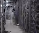 bitcoin Ethereum Blockchain303