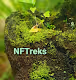 NFTreks