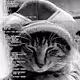 Mungle Fungible Tokens - Trippin' Cats