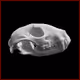 The Raccoon skull