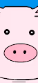 Pig_ETH