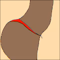 The Sexy Way