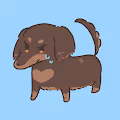 Sweat Dachshund