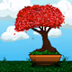 Kishi Bonsai