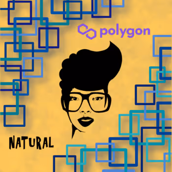 The Modesty Collection