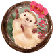 sachanshih // Happy Birthday
