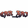 Car_Zai