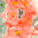 The Dummy Watercolorist