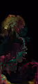 lucid liquid art
