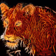 Stunning Animals