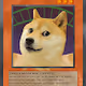 ExoDoge