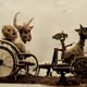 Disabled Animals On Vintage Postcards
