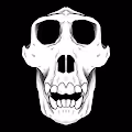 Wicked Ape Bone Club.