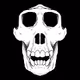 Wicked Ape Bone Club.