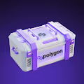Polygon Merch Kit
