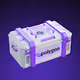Polygon Merch Kit