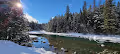 MontanaLife