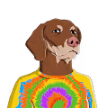 Bored Dogs V2