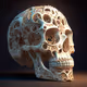Skull headA