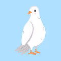 Divine Dove by Publish Trends