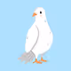 Divine Dove by Publish Trends