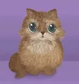 Archets cute kittens