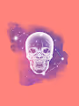 transparentskull