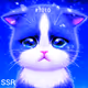THE CAT HERO