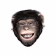 APEGLINT