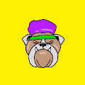 bulldawg
