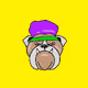 bulldawg