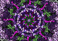 Cosmic Codes #100635151