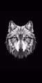 WOLF SQUAD VIP ACCESS