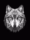 WOLF SQUAD VIP ACCESS