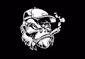 RarityFEG_02/15