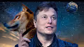 The amazing world of Elon Musk