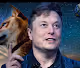 The amazing world of Elon Musk