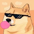 Lonely Doge