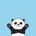 Popo The Panda