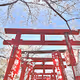 Beautiful_japan
