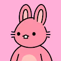 Bunny Hole Pre Launch