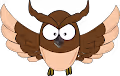 Owl Crypto