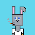 Crypto Bunny's