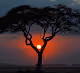 wild nature_world