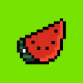 Tufy Watermelon Collection