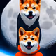 Doge_In_Space_Ai