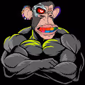 Bodybuilder Ape