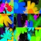 Stroboscopic Flowers